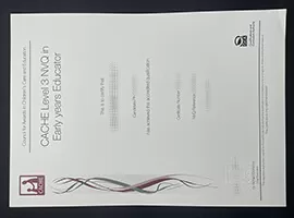 I want to buy CACHE Level 3 NVQ fake certificate.