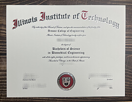Make Illinois Institute of Technology diploma online.