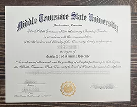 Get Middle Tennessee State University fake diploma.