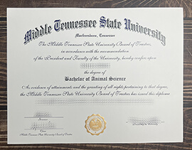 Get Middle Tennessee State University fake diploma.