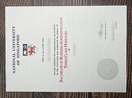 Get National University of Singapore fake diploma.