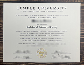 How to get the Temple University fake degree?