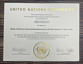 How to make the United Nations University certificate?
