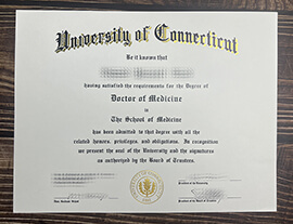 How much to buy University of Connecticut fake certificate?