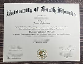 Get University of South Florida fake diploma.