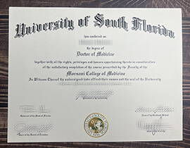 Get University of South Florida fake diploma.