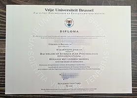 Get Vrije Universiteit Brussel fake diploma online.