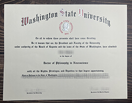 Get Washington State University fake diploma online.