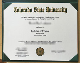 Tips to order a fake Colorado State University degree online.