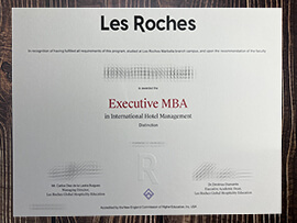 How much Cost to buy fake Les Roches Degree?