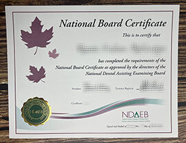 How much does it cost to buy a fake NDAEB certificate?