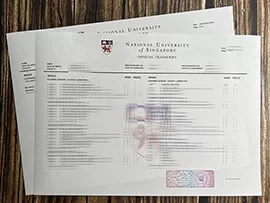 How to get a National University of Singapore fake transcript?