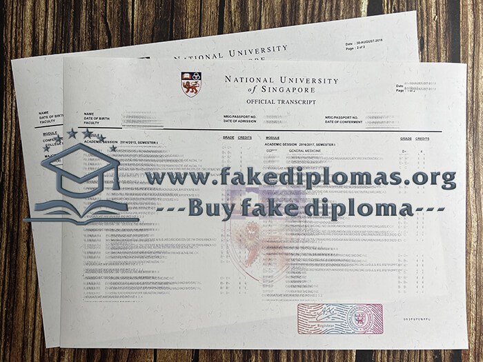 Buy National University of Singapore fake diploma, Fake NUS certificate.