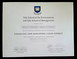 How to make the Yale School of the Environment degree?