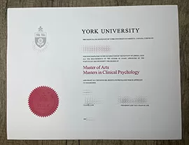 Get York University fake diploma online.