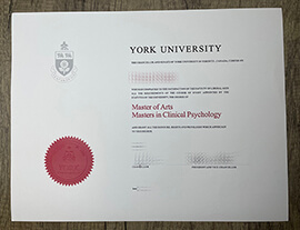 Get York University fake diploma online.