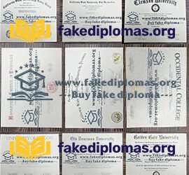 What are the uses of fake diplomas?