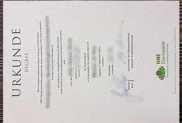 How can i get to buy HNEE fake certificate?