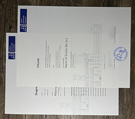 How do i buy Leibniz Universität Hannover fake diploma?