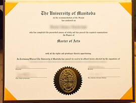 Can i get to buy University of Manitoba fake diploma?