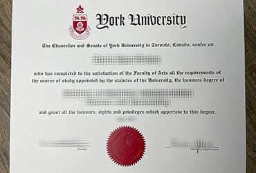 How to get a York University diploma?