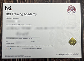 Buy BSI Training Academy fake diploma, Fake BSI Training Academy degree.