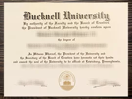 Can i get to buy Bucknell University fake diploma?