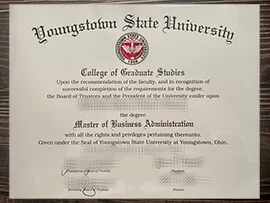 Can i get to buy Youngstown State University fake diploma?