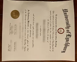 Where can i get to buy University of Lynchburg fake diploma?