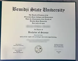 Obtain Bemidji State University fake diploma online.