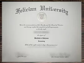 Can i get to buy Felician University fake certificate?