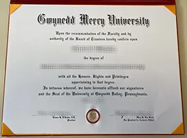 I want to buy Gwynedd Mercy University fake diploma.