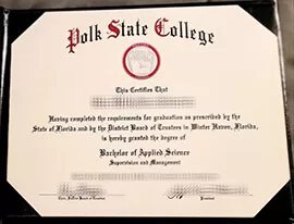 Where can i get to buy Polk State College fake degree?