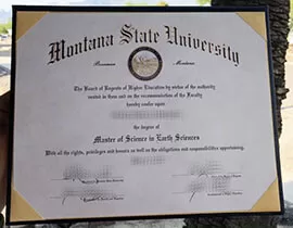 How to order a 100% copy Montana State University diploma?