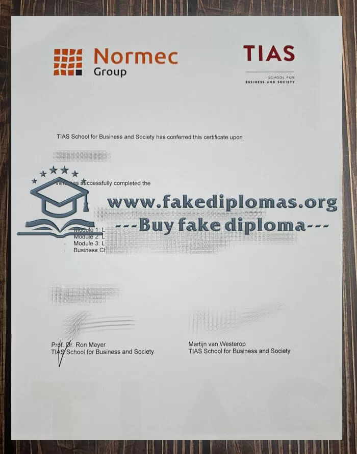 Buy TIAS School for Business and Society fake diploma.