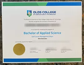 How can i get to buy Olds College fake degree?