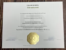 Make Université du Québec diploma.