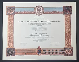 How long to buy Università di Bologna fake certificate?